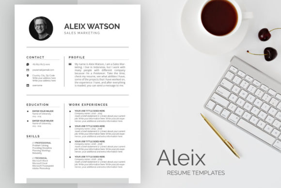 Professional Resume Templates for Career Success